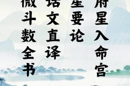 手机紫薇斗数app