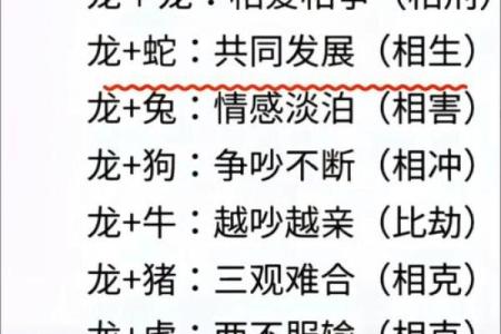 属龙姻缘配对