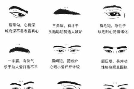 三角眉毛的面相算命图解