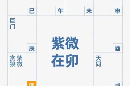 紫薇斗数自学看