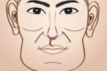 面相图解-弓丧眉算命及性格特征