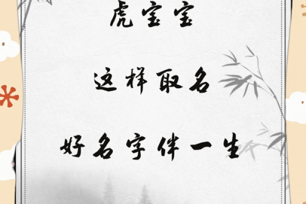 晚上出生的属虎男孩应该如何起名，宜用什么字姓名