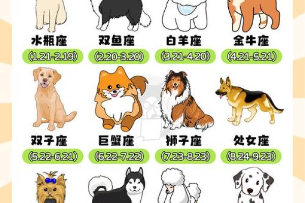 十二星座谁是最适合养的狗狗