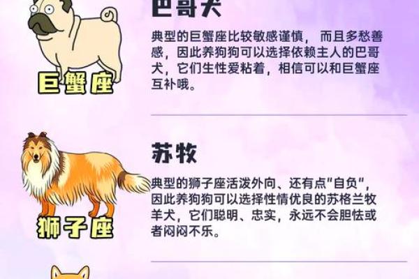 十二星座谁是最适合养的狗狗