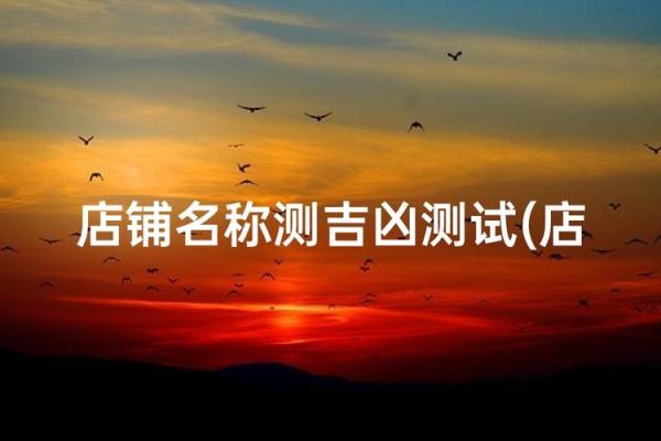 取店面名字测试打分