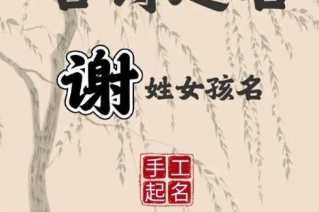 谢姓女孩名字大全-谢姓女孩起名字大全-谢姓名字大全姓名