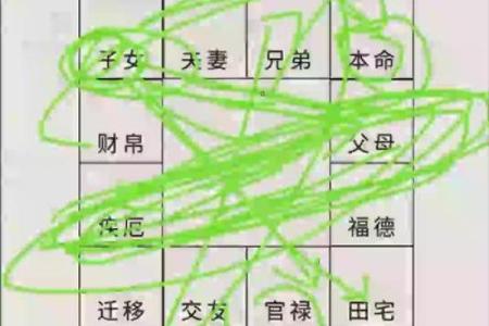 紫微斗数引出禄 紫薇命盘禄是什么意思？