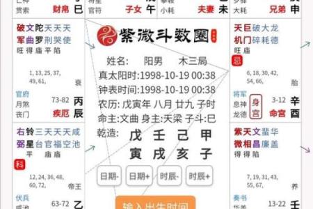 美貌男紫薇斗数