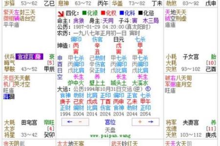 紫薇斗数限运