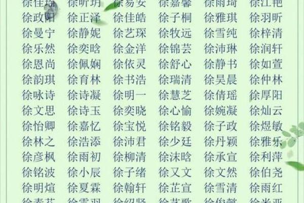 徐姓女孩名字大全-徐姓女孩起名字大全-徐姓名字大全姓名