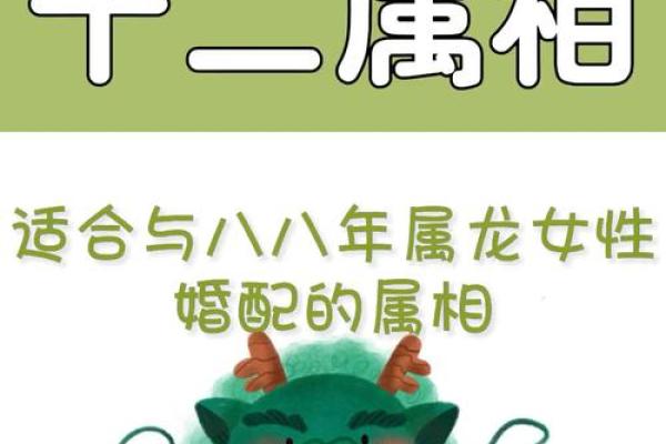龙跟什么生肖配对最好 生肖龙最佳配对