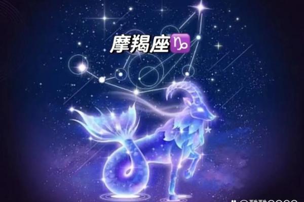 12星座最适合什么宠物摩羯座