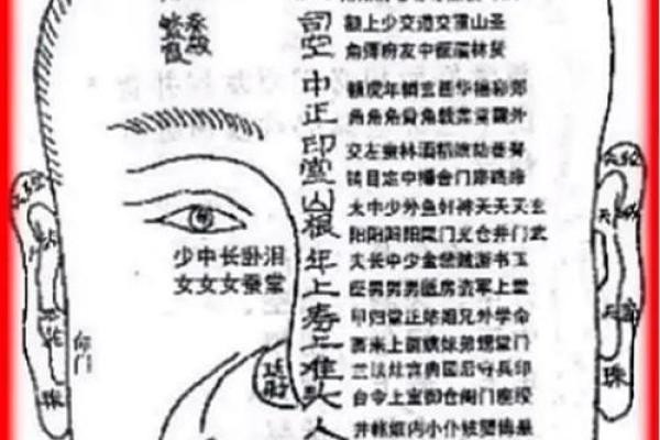 面相解析：从山根看相算命