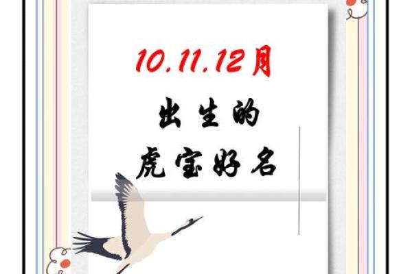 晚上9点出生的属虎男孩如何起名，宜用什么字姓名