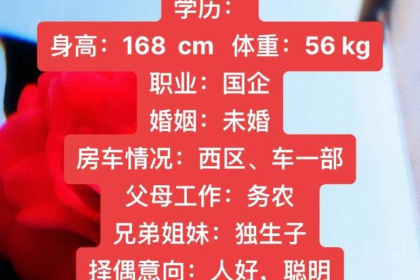 一月份出生的属狗男孩如何取名字姓名