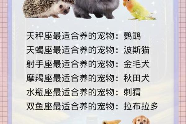 十二星座最适合养的宠物双子座