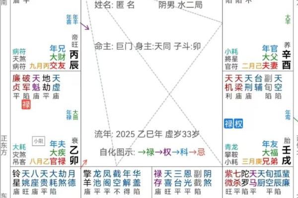 紫薇斗数创业流年