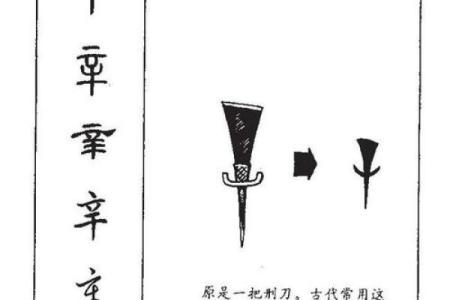 2019年3月29号辛时出生的男孩起名时要注意什么姓名
