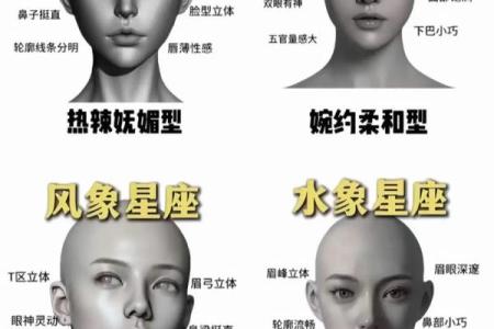 哪四个星座女是圆脸男