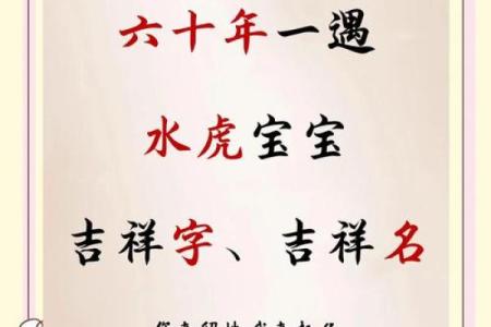 晚上9点出生的属虎男孩如何起名，宜用什么字姓名