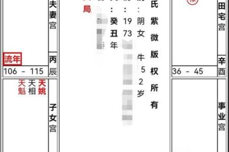 紫薇斗数创业流年