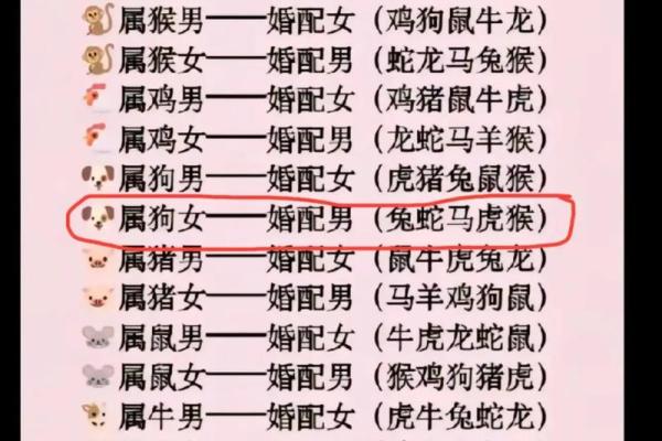 女牛男兔生肖配对姻缘 女牛男兔相配婚姻会怎么样？