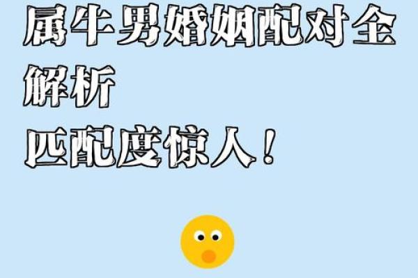 女牛男兔生肖配对姻缘 女牛男兔相配婚姻会怎么样？