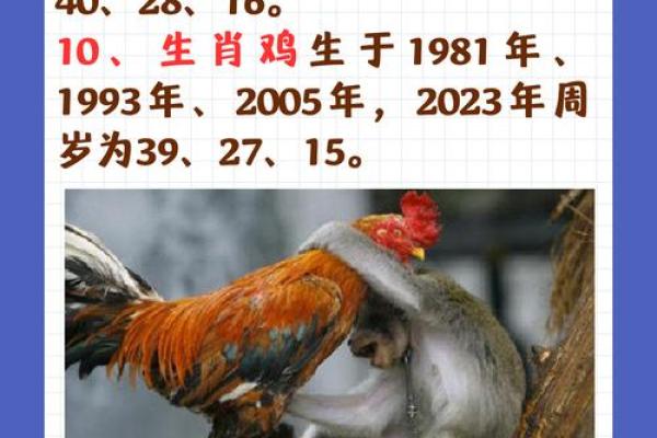 1986年属什么生肖 1986年属什么生肖配对最好
