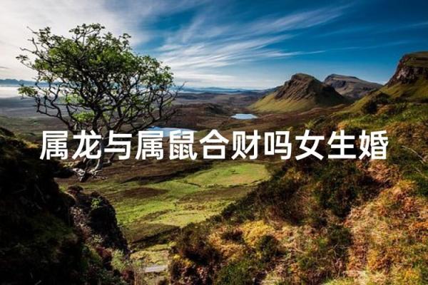 属鼠和属龙配对合适吗-