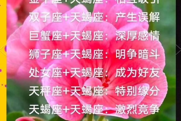 天蝎座女生和什么座最配对 天蝎座女生最吃哪一套