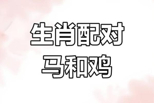 属鸡的女人和什么属相最配对 属鸡的女人和什么属相最配婚姻