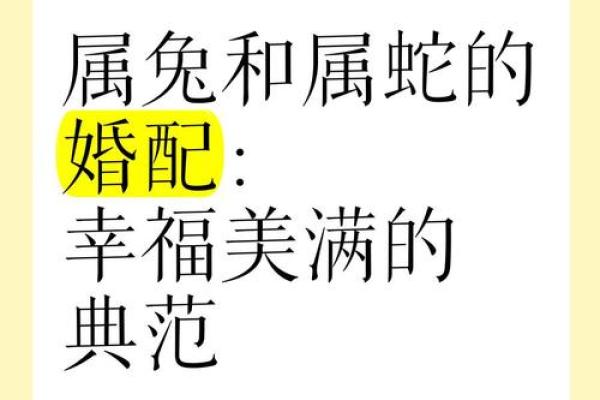 生肖属兔合婚须知，属兔配对需要注意的问题！