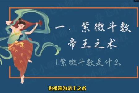 哔哔哩哔哩官网紫微斗数 哔哩哔哩bi？