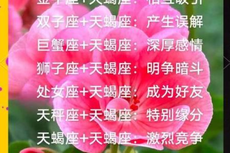 天蝎座女生和什么座最配对 天蝎座女生最吃哪一套