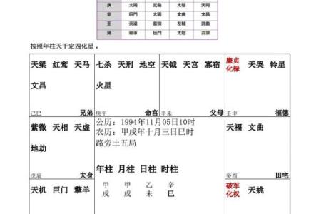 紫薇斗数星盘图片