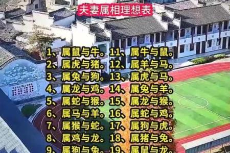 哪个属相夫妻配对好？这5对简直绝配，在一起就不会分开