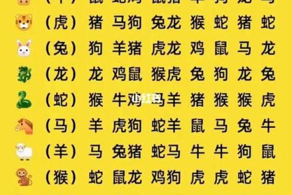 属鸡和什么属相最配对 属鸡和什么属相相冲