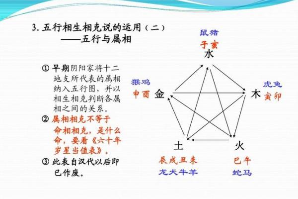 属鸡和什么属相最配对 属鸡和什么属相相冲