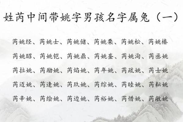 辛时出生的属兔男孩怎么取名字姓名