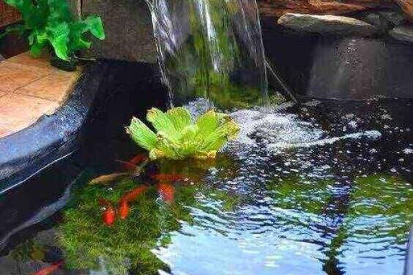 西边有池塘风水