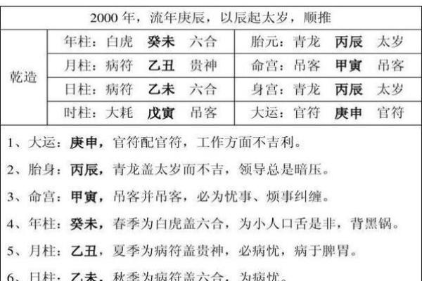 八字命宫辛亥是什么意思