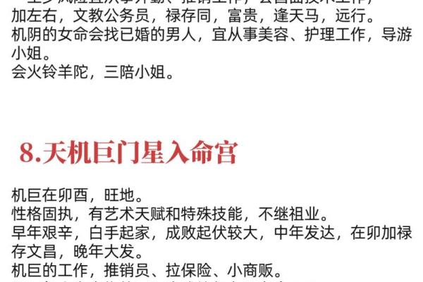 紫薇斗数解释意思