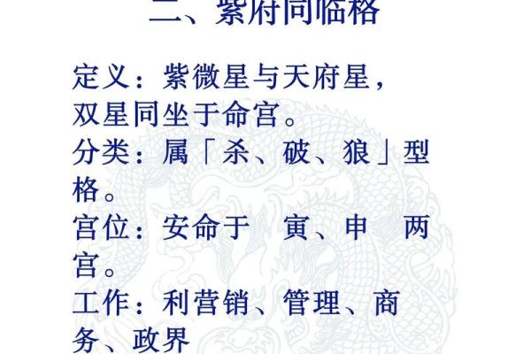 紫薇斗数解释意思