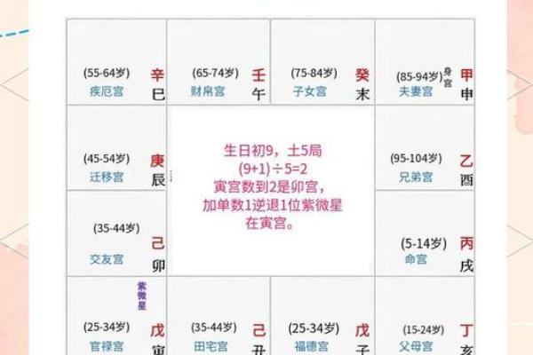 紫微斗数排盘天魁星坐命宫分析,十二宫分析