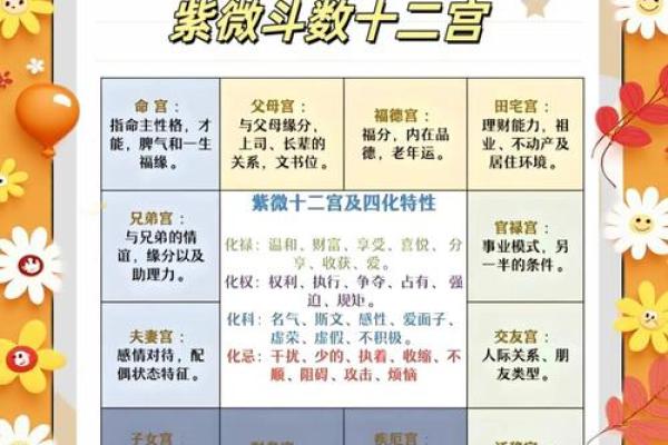 紫微斗数排盘天魁星坐命宫分析,十二宫分析