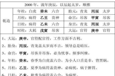 八字命宫辛亥是什么意思