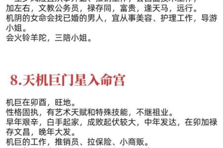 紫薇斗数解释意思