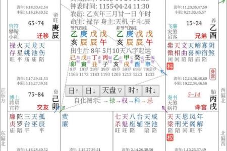 紫薇斗数象意