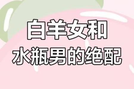 白羊水瓶配对指数 白羊水瓶合适在一起吗