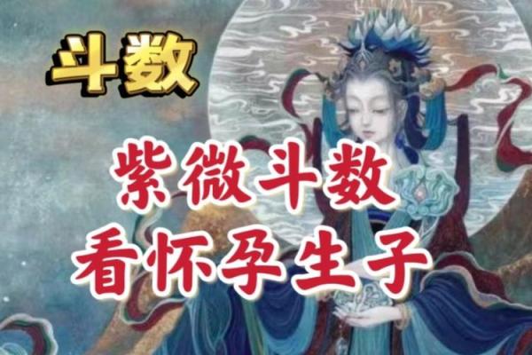 紫薇斗数看有没有孩子